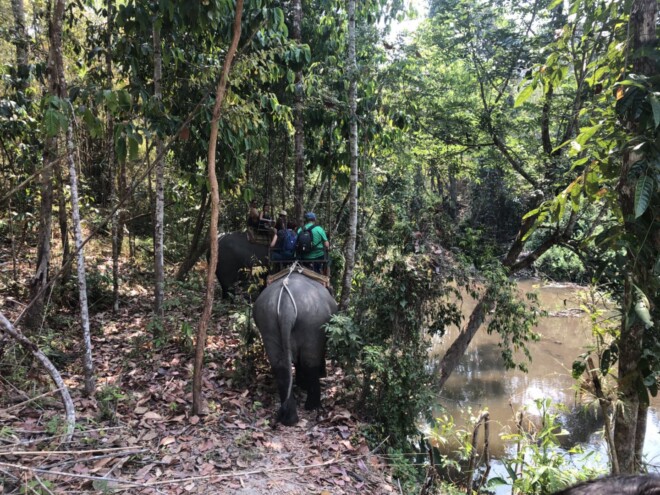 トレッキングツアー